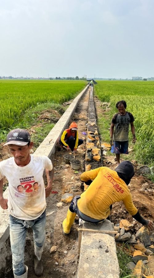 WhatsApp Image 2025-04-20 at 06.29.13 (1)